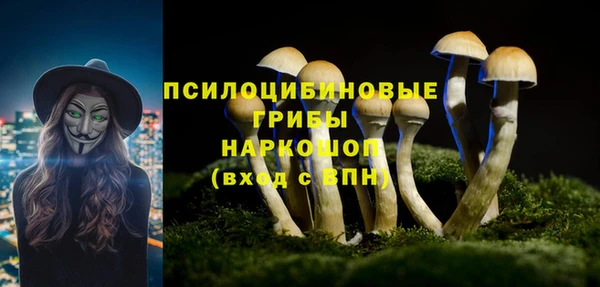 mdpv Алексин