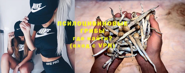 герыч Алзамай